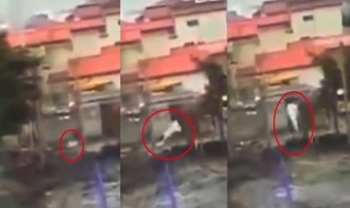 japani-eliö-pelottava