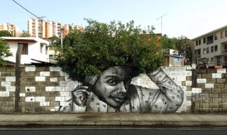 katutaide-mies-hair-afro-tree-funny-sketsi