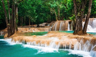 kaunis-metsä-vesiputous