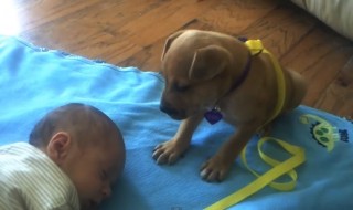 pentu-nukahti-kesken-vahtimisen-vauvan