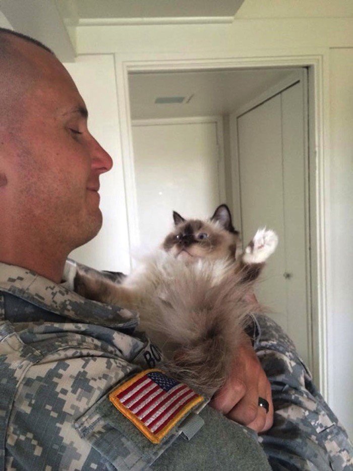 sketsi kissa sotilas
