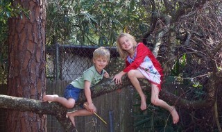 1980-luvun-lapset-puu