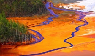 myrkky-maailma-saaste-sketsi