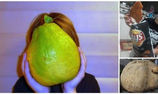 uskomattoman-suuria-ruokia-sketsi