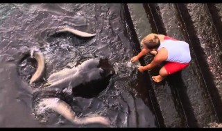 poika-ruokkii-jätti-rauskua-sketsi-video