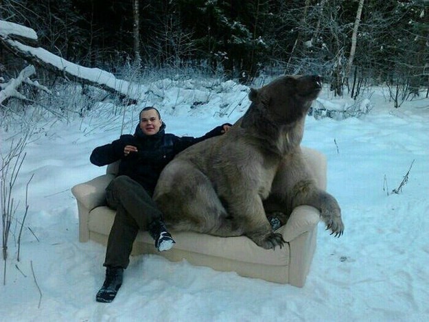 karhut venäjällä