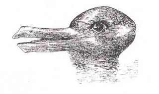 optiset illuusiot-harhat6