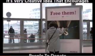 Katso, miten luovalla tavalla ihmiset saadaan lahjoittamaan hyväntekeväisyyteen!