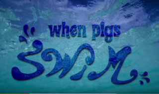 Lähtisitkö lomalle ”sikarannalle”? Katso video ja haluat heti pakata laukkusi!