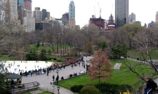Katso palkittu mallikuva uudenlaisesta New Yorkin Central Parkista!