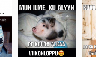 Hauskimmat suomalaiset Instagram-tilit ‒ seuraatko näitä?