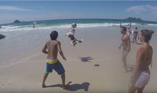 koira temppuilee jalkapallolla