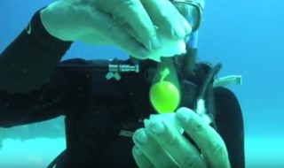 raaka kananmuna syvyyksissä