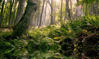 Juhannustaikoja naisille ja miehille ‒ oletko kuullut näistä?