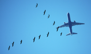 Pelkäätkö lentämistä? 10 tapaa päästä yli lentopelosta