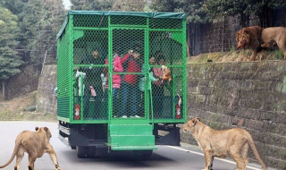 Tässä eläintarhassa ihmiset ovat häkeissä, katso kuvat!