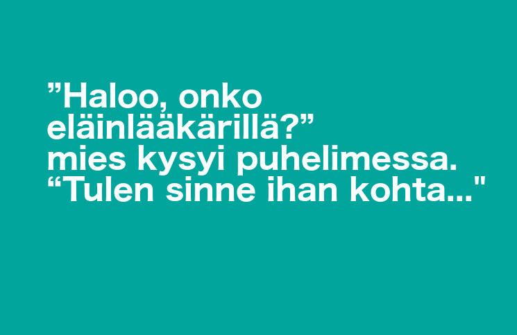sketsi56