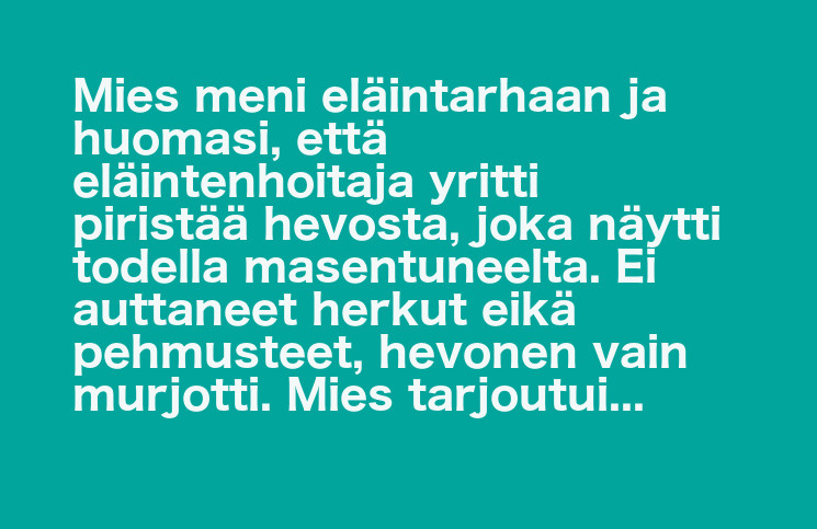 sketsi66