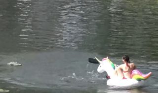 alligaattorin-paa-pila-youtube