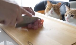 E526BB47-0D1B-4DF4-8755-D00337AB90E2