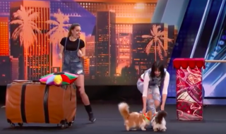 Näyttökuva 2018-10-29 kello 1.39.15