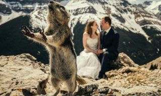 haakuva-photobombaukset2