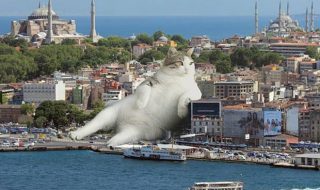 jattimaiset-kissat-kuvat