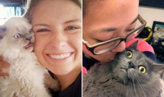 kissat-ja-omistajat-yhteiskuvat