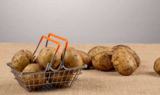 andrey-metelev-8BarkaV-kGQ-unsplash