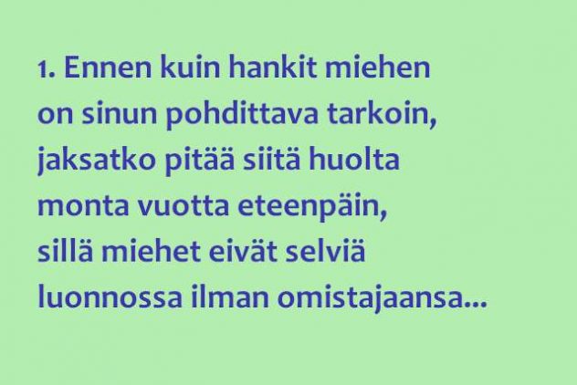 Mieslemmikki