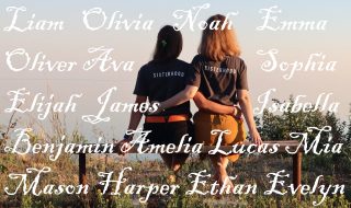 ignat-kushanrev-m7D5LDAzk3Y-unsplash2