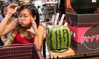 5076434575_0e144e77f9_c