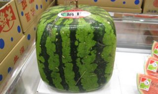 997972838_1c10c33e99_c