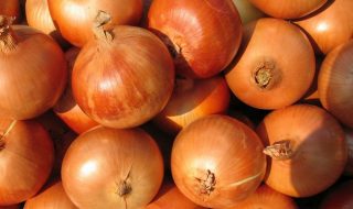 at-the-market-serie-onions-1538686-640×480