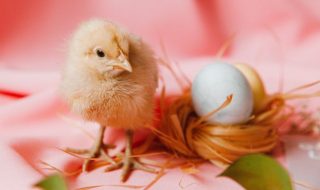 pexels-roman-odintsov-6897497