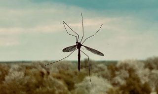 vladislav-balakshii-ApKZyHxcIRw-unsplash