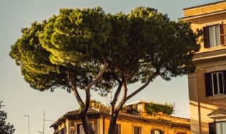 ehud-neuhaus-5BVZjJTVkss-unsplash