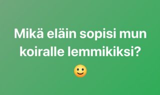 koiranomistajat-osa-28-vzg (1)2