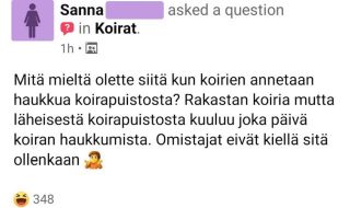 koiranomistajat-osa-28-vzg