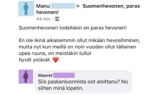 Suomenhevonen