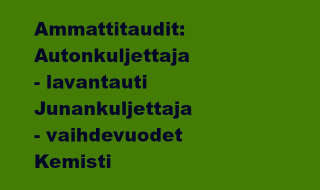 Ammattitaudit