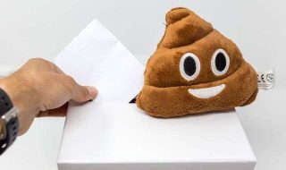 48691246853_98301c8347_c