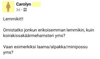 koira-ja-kissaihmiset-wqq2