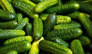 cucumber-gea849b0c6_640