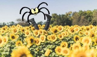 derek-thomson-Z7-ZhxCJ4H0-unsplash