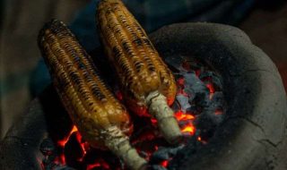 debashis-rc-biswas-ZrejNf2Ex0M-unsplash