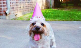 delaney-dawson-BXs8SjVelKs-unsplash