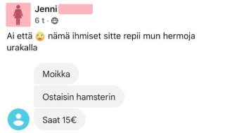 kirpputorin-loytoja-osa-443-vbw2