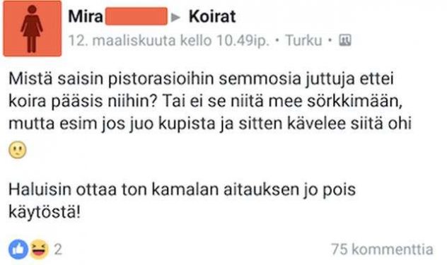 kurkistus-koiraryhmaan-osa-18-lal2