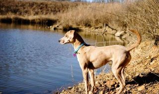 rosalie-lyons-uZ0V_r4hCvU-unsplash